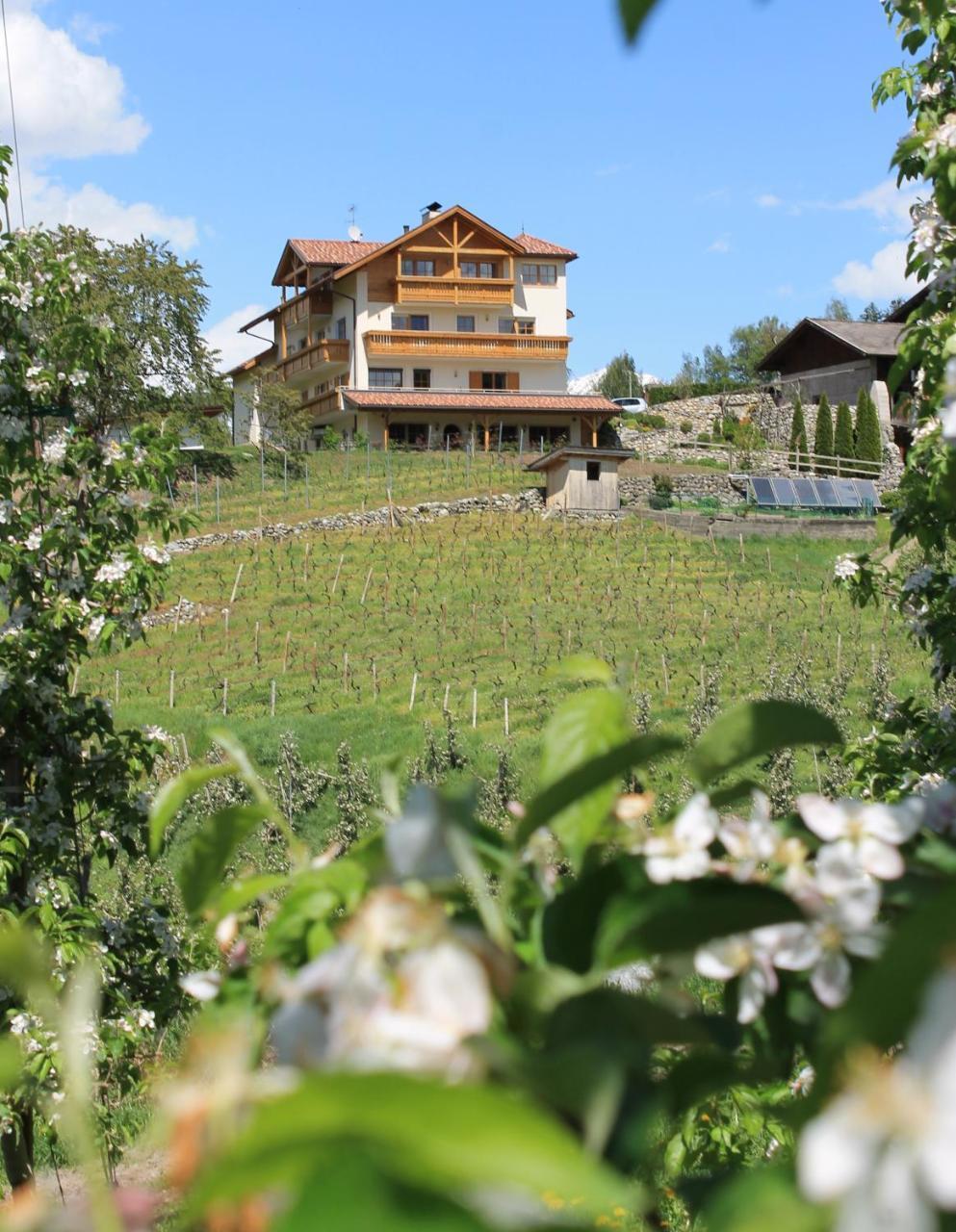 Trinnerhof- Hof Chalets Und Obsthof Mit Zimmer Natz-Schabs Exterior photo